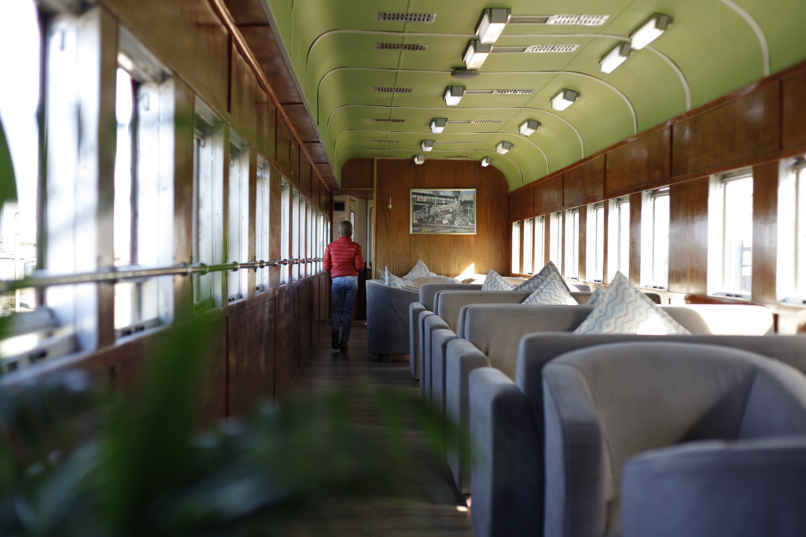 Die Stasiefees treinreis na Wellington